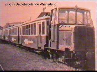 W'land13.jpg